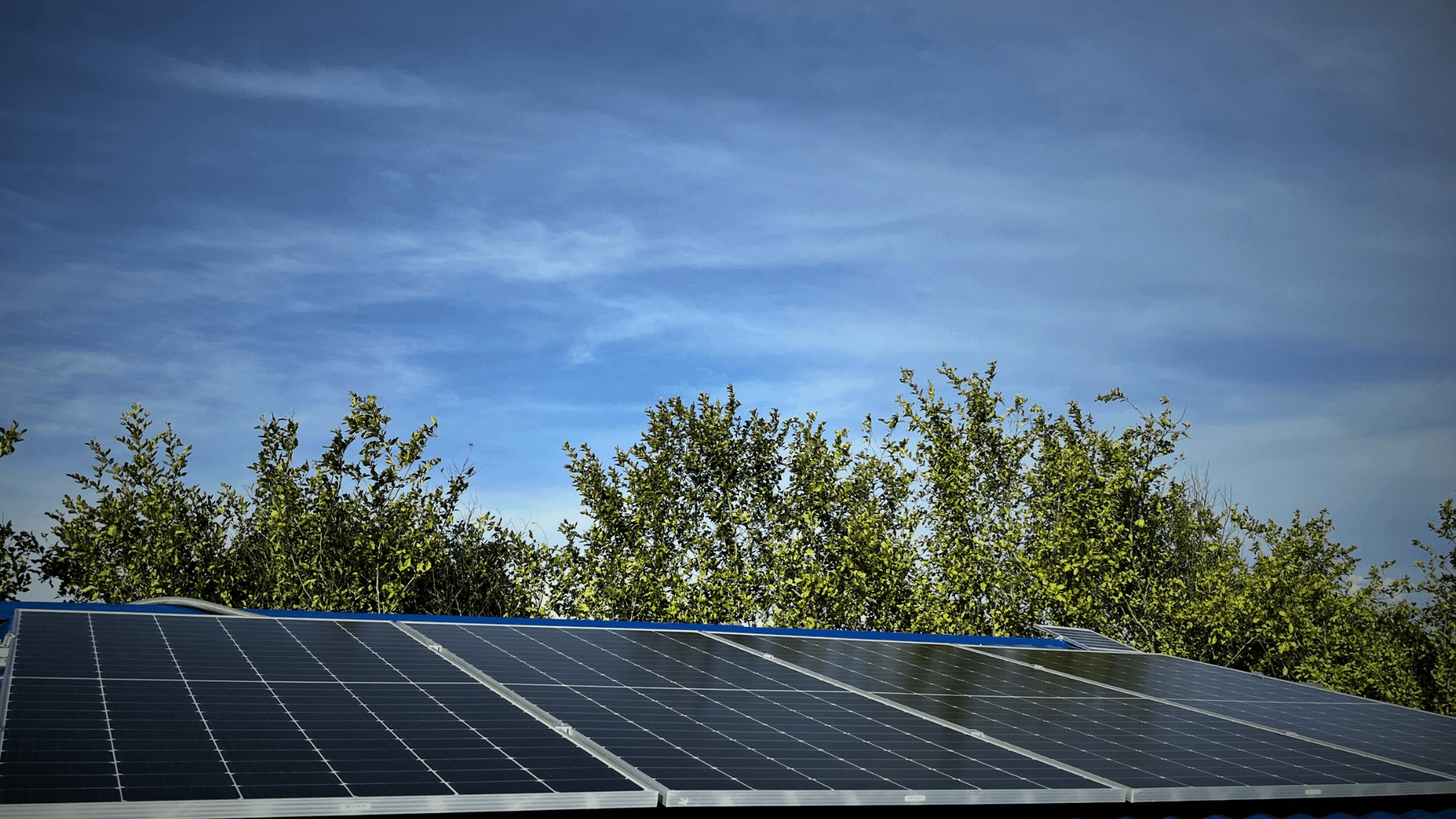 Caso de éxito: Energía solar que transformó una Familia!